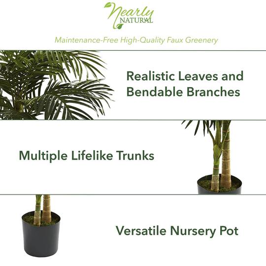 6.5ft. Potted Golden Cane Palm Tree